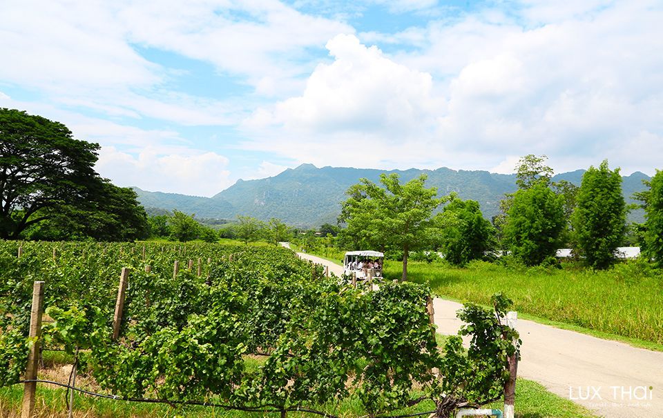 PB Valley 酒莊-5