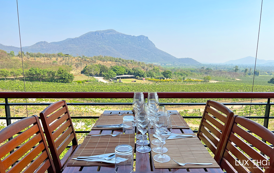 華欣酒莊品酒之旅 (包含酒莊導覽、品酒活動、及餵食大象 )-4