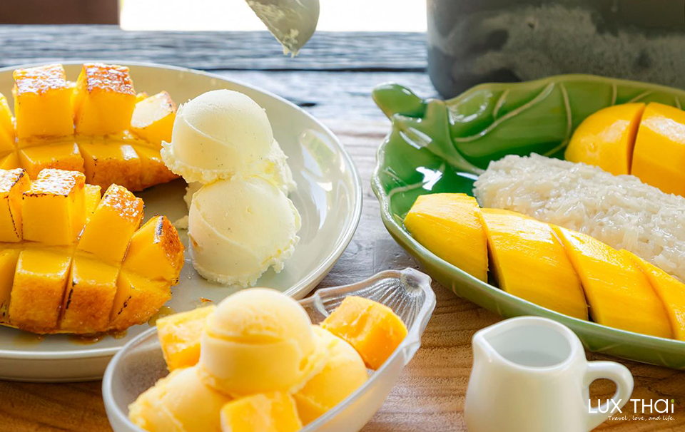 芒果田山景下午茶 The Mango House Farm-1 芒果田山景下午茶 The Mango House Farm-1