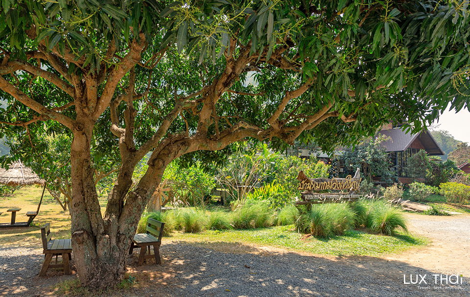 芒果田山景下午茶 The Mango House Farm-4 芒果田山景下午茶 The Mango House Farm-4