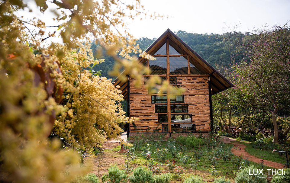 芒果田山景下午茶 The Mango House Farm-6 芒果田山景下午茶 The Mango House Farm-6