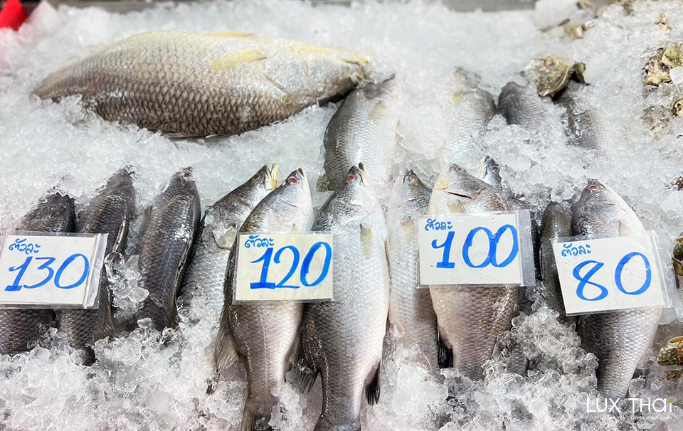 吞武里海鮮市場 Thonburi Market Place-3 吞武里海鮮市場 Thonburi Market Place-3