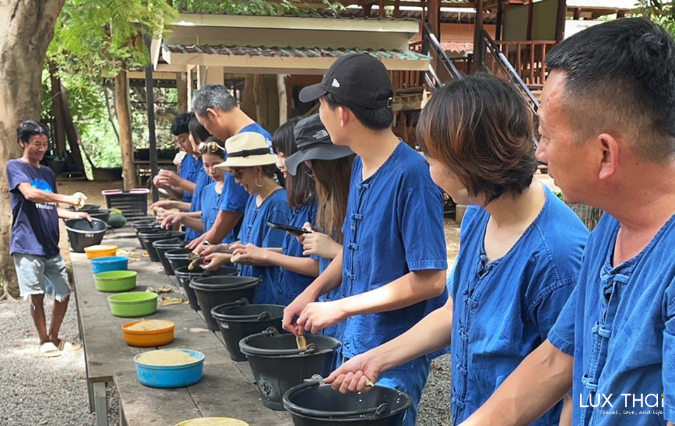 北碧大象世界 Elephant World Kanchanaburi-2 北碧大象世界 Elephant World Kanchanaburi-2