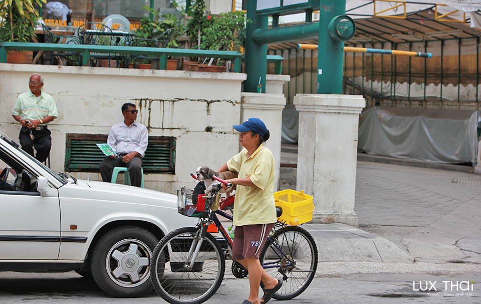 清邁悠閒時光-2