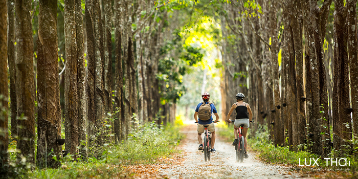 豐富的飯店活動