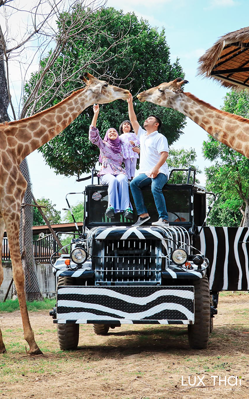 【泰國迷你小團】古蹟長頸鹿美拍5日