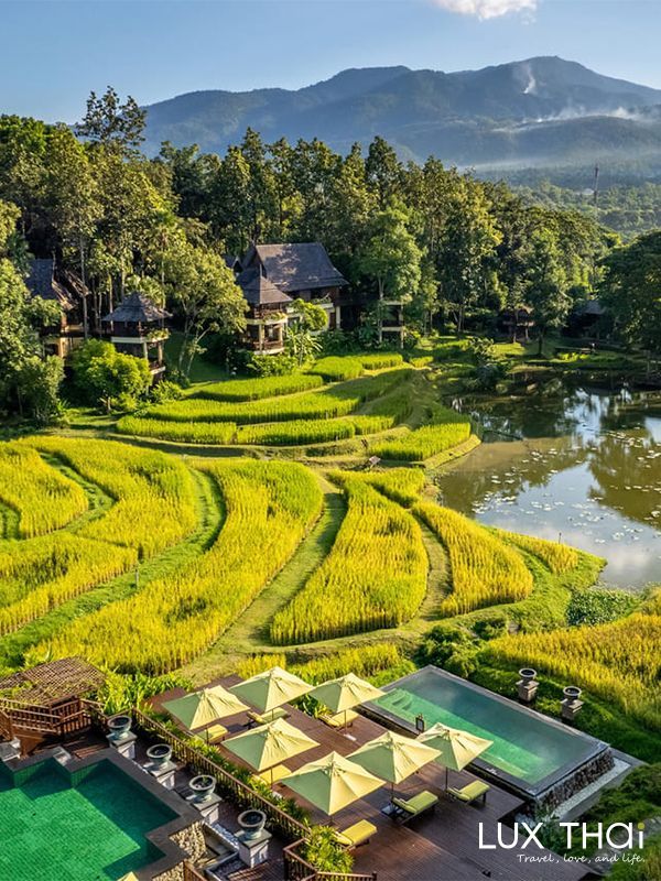 清邁四季 Four Seasons Chiang Mai 稻田山巒環繞